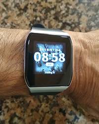 24